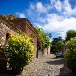 Medio Día en Colonia