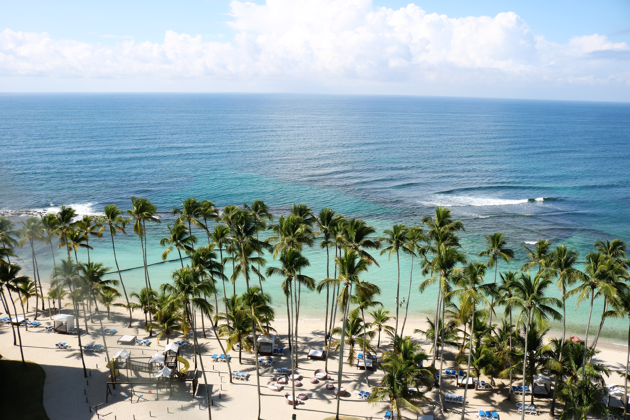 Aerial view of a serene beach with palm trees and turquoise waters in the Dominican Republic.