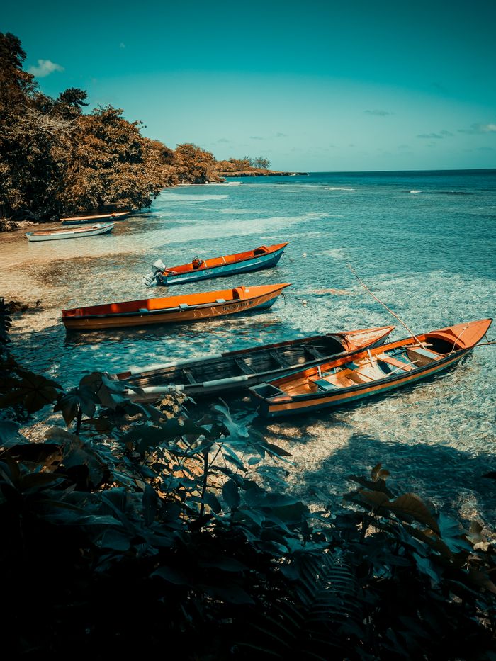 Colorful wooden boats along a tropical coast, hinting at serene island life.